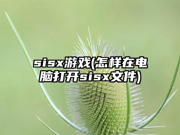 sisx游戏(怎样在电脑打开sisx文件)