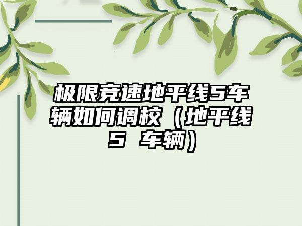 极限竞速地平线5车辆如何调校（地平线5 车辆）