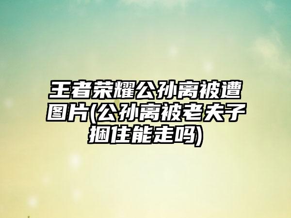 王者荣耀公孙离被遭图片(公孙离被老夫子捆住能走吗)