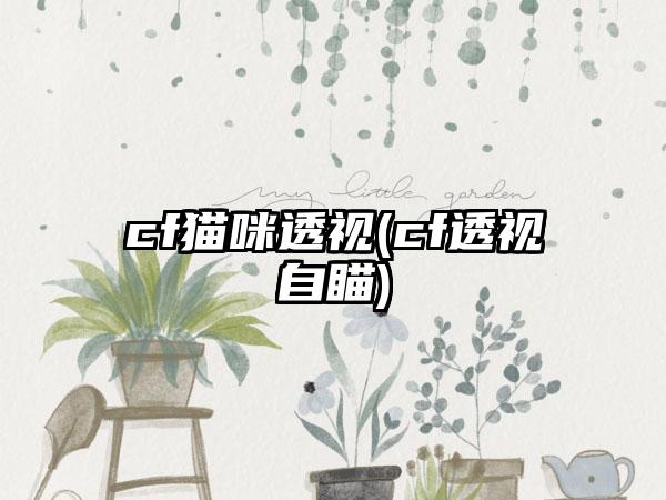 cf猫咪透视(cf透视自瞄)
