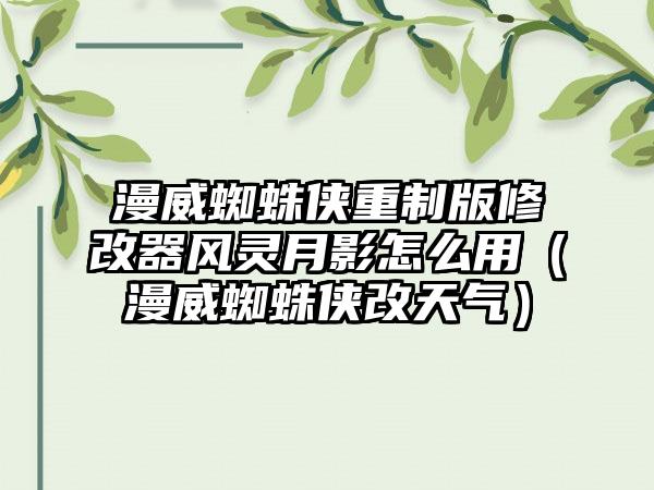 漫威蜘蛛侠重制版修改器风灵月影怎么用（漫威蜘蛛侠改天气）