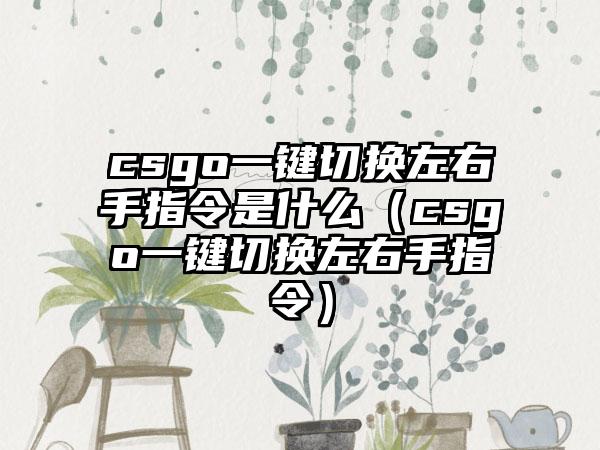 csgo一键切换左右手指令是什么（csgo一键切换左右手指令）