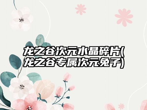 龙之谷次元水晶碎片(龙之谷专属次元兔子)