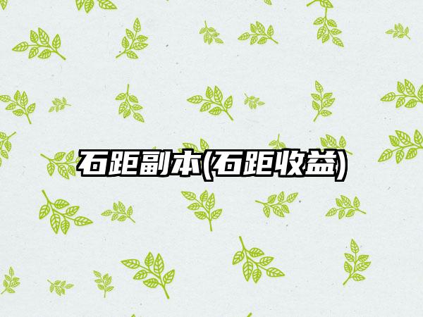 石距副本(石距收益)