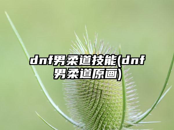 dnf男柔道技能(dnf男柔道原画)