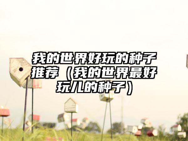 我的世界好玩的种子推荐（我的世界最好玩儿的种子）