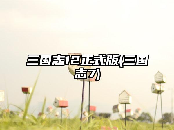 三国志12正式版(三国志7)