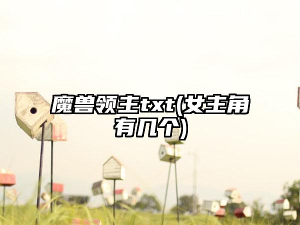 魔兽领主txt(女主角有几个)