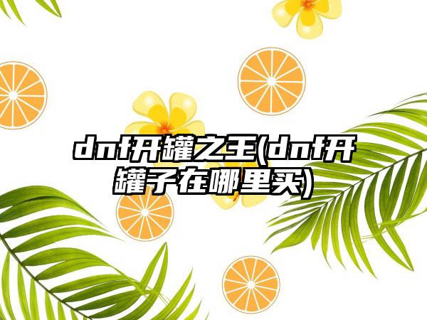 dnf开罐之王(dnf开罐子在哪里买)