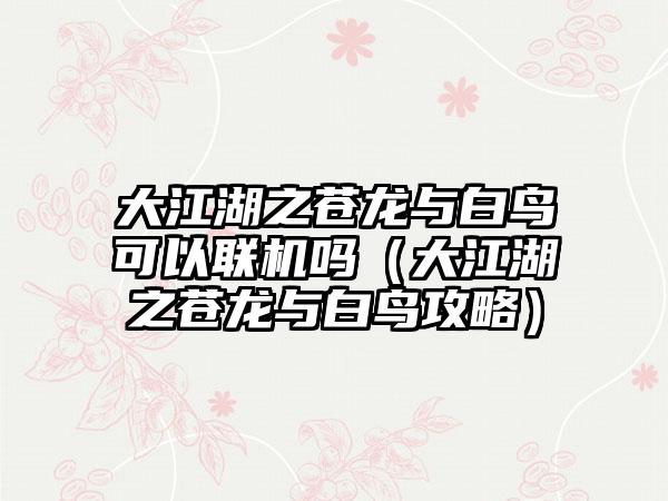 大江湖之苍龙与白鸟可以联机吗（大江湖之苍龙与白鸟攻略）