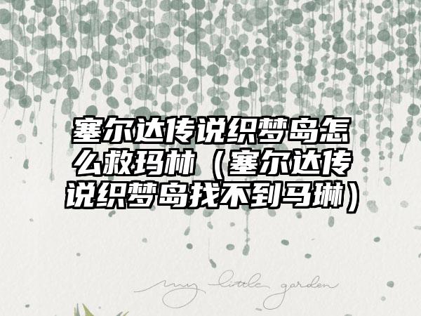 塞尔达传说织梦岛怎么救玛林（塞尔达传说织梦岛找不到马琳）