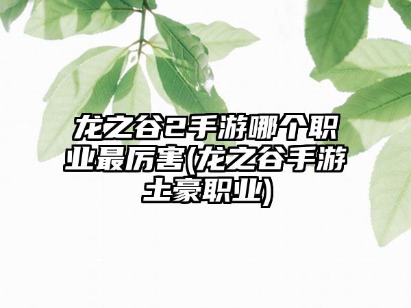 龙之谷2手游哪个职业最厉害(龙之谷手游土豪职业)