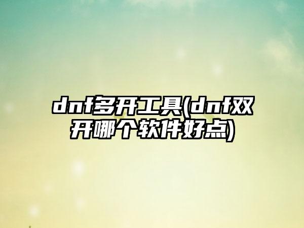 dnf多开工具(dnf双开哪个软件好点)