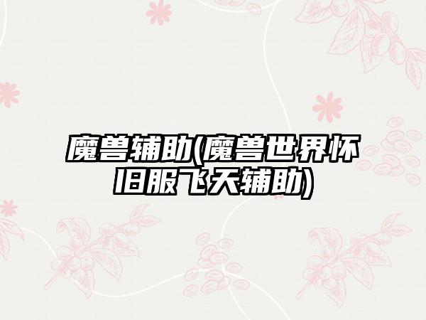 魔兽辅助(魔兽世界怀旧服飞天辅助)