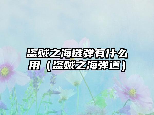 盗贼之海链弹有什么用（盗贼之海弹道）