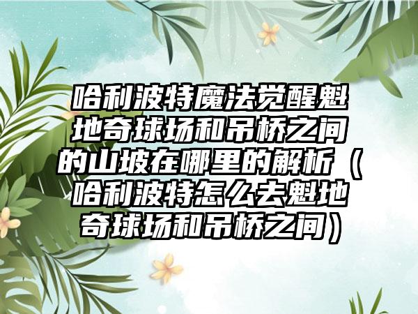 哈利波特魔法觉醒魁地奇球场和吊桥之间的山坡在哪里的解析（哈利波特怎么去魁地奇球场和吊桥之间）