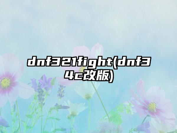dnf321fight(dnf34c改版)