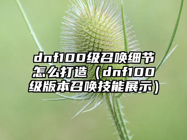 dnf100级召唤细节怎么打造（dnf100级版本召唤技能展示）