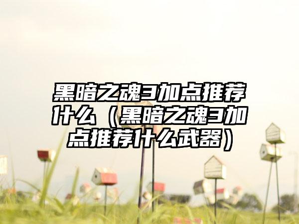 黑暗之魂3加点推荐什么（黑暗之魂3加点推荐什么武器）