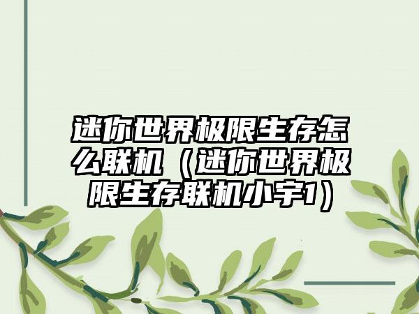 迷你世界极限生存怎么联机（迷你世界极限生存联机小宇1）