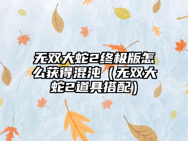 无双大蛇2终极版怎么获得混沌（无双大蛇2道具搭配）