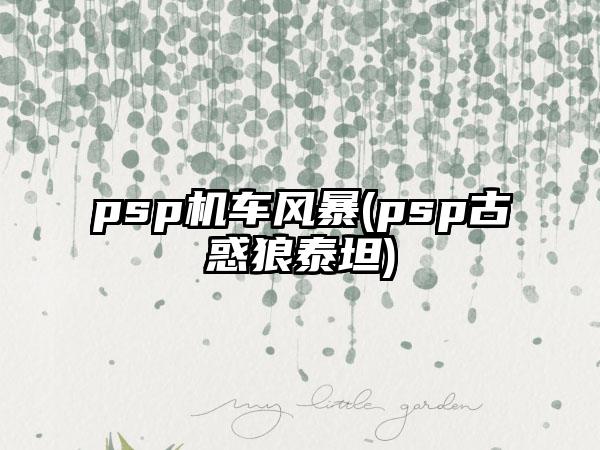 psp机车风暴(psp古惑狼泰坦)