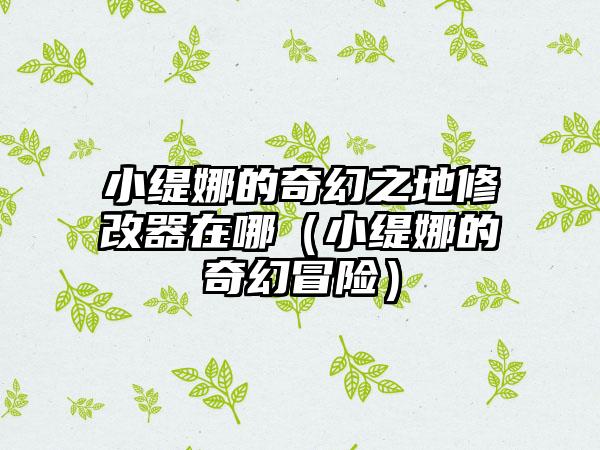 小缇娜的奇幻之地修改器在哪（小缇娜的奇幻冒险）