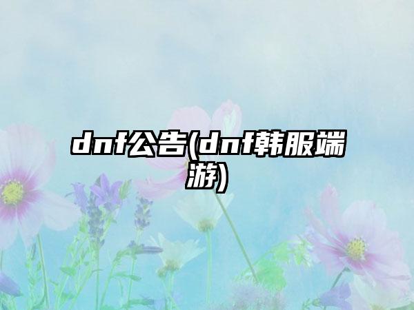 dnf公告(dnf韩服端游)