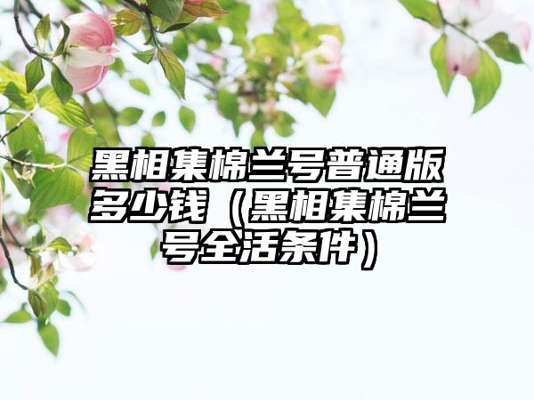 黑相集棉兰号普通版多少钱（黑相集棉兰号全活条件）