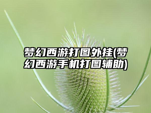 梦幻西游打图外挂(梦幻西游手机打图辅助)