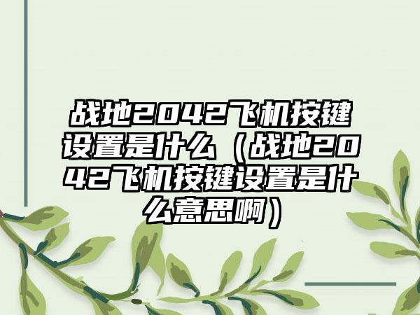 战地2042飞机按键设置是什么（战地2042飞机按键设置是什么意思啊）