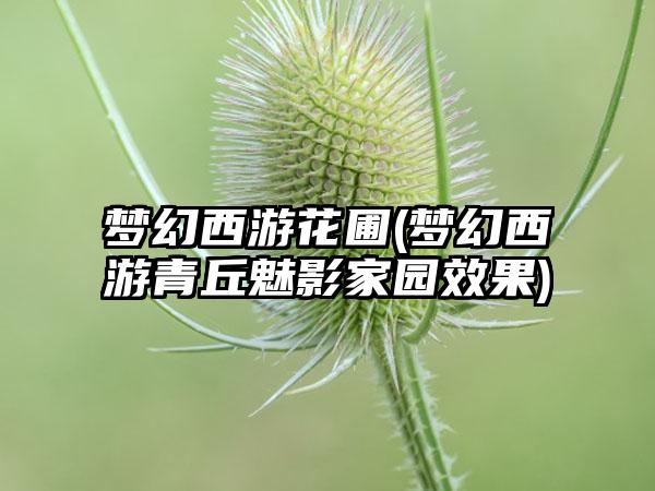梦幻西游花圃(梦幻西游青丘魅影家园效果)
