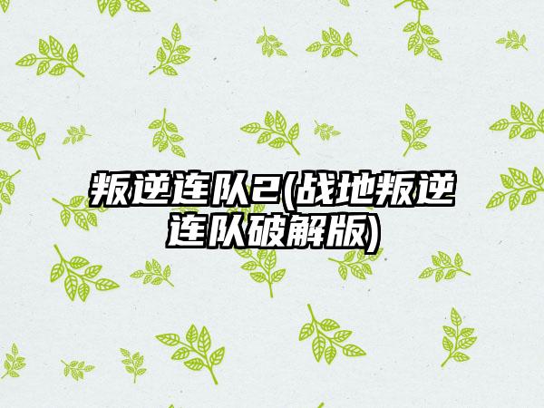 叛逆连队2(战地叛逆连队破解版)
