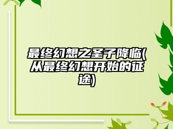 最终幻想之圣子降临(从最终幻想开始的征途)