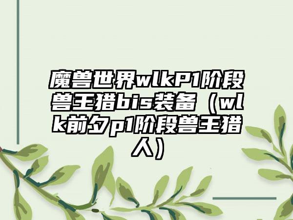 魔兽世界wlkP1阶段兽王猎bis装备（wlk前夕p1阶段兽王猎人）