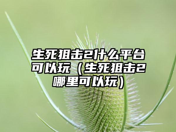 生死狙击2什么平台可以玩（生死狙击2哪里可以玩）