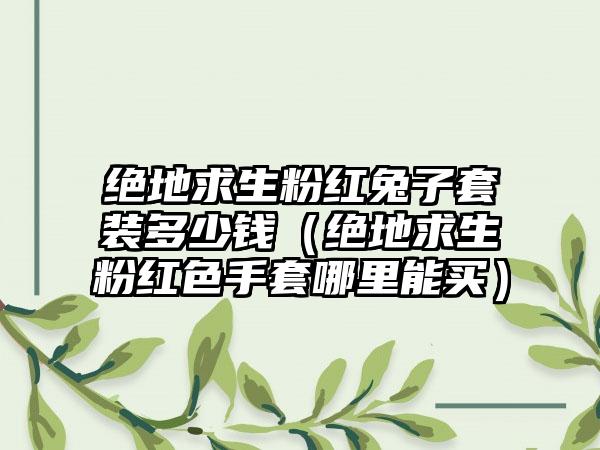 绝地求生粉红兔子套装多少钱（绝地求生粉红色手套哪里能买）