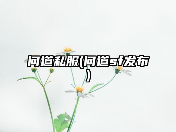 问道私服(问道sf发布)