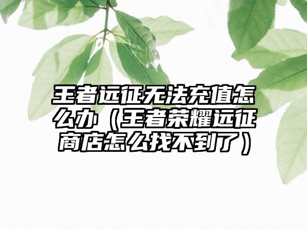 王者远征无法充值怎么办（王者荣耀远征商店怎么找不到了）