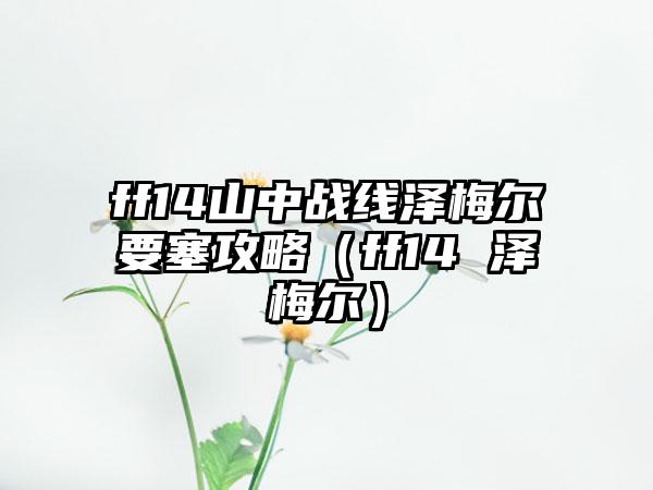 ff14山中战线泽梅尔要塞攻略（ff14 泽梅尔）