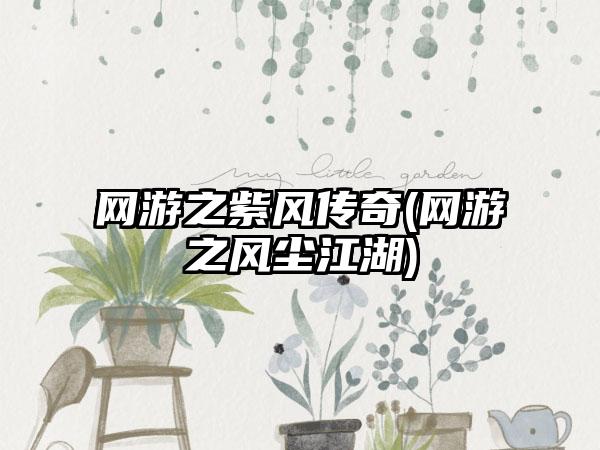 网游之紫风传奇(网游之风尘江湖)