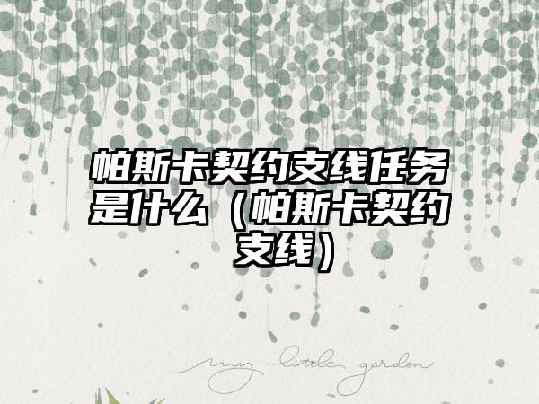 帕斯卡契约支线任务是什么（帕斯卡契约 支线）