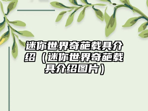 迷你世界奇葩载具介绍（迷你世界奇葩载具介绍图片）