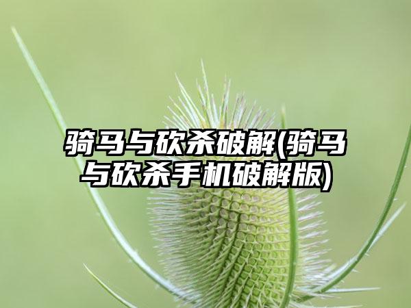 骑马与砍杀破解(骑马与砍杀手机破解版)