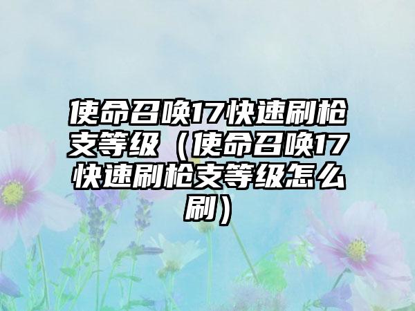 使命召唤17快速刷枪支等级（使命召唤17快速刷枪支等级怎么刷）