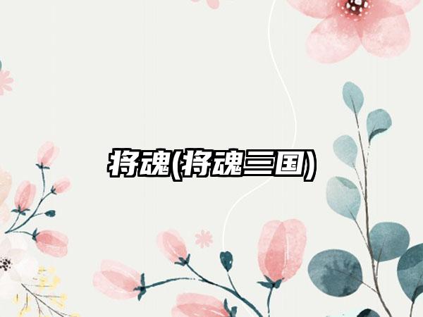 将魂(将魂三国)