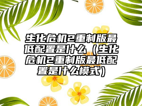 生化危机2重制版最低配置是什么（生化危机2重制版最低配置是什么模式）
