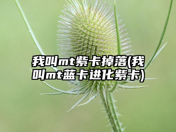我叫mt紫卡掉落(我叫mt蓝卡进化紫卡)