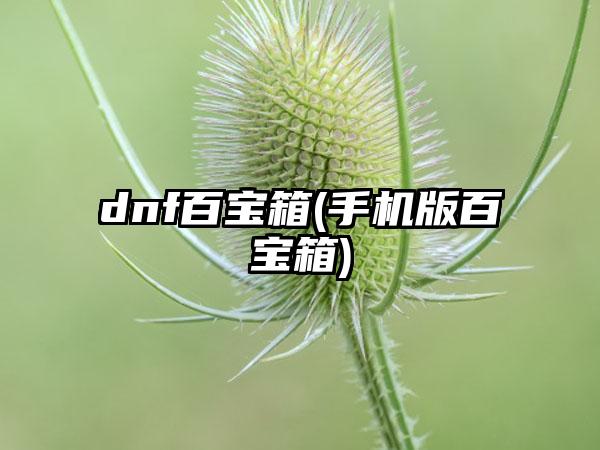 dnf百宝箱(手机版百宝箱)