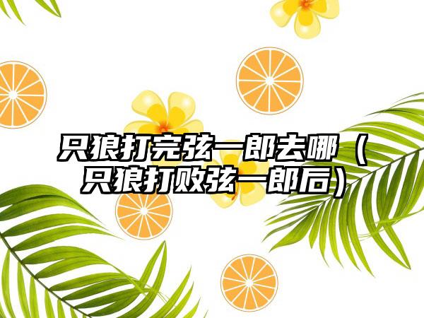 只狼打完弦一郎去哪（只狼打败弦一郎后）